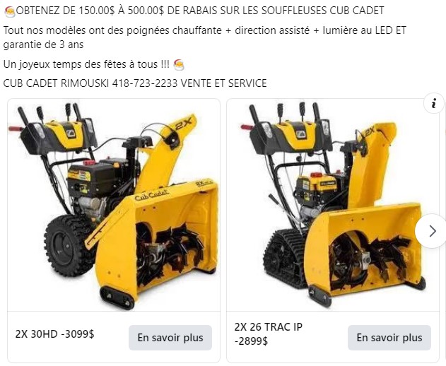 PROMOTION CUB CADET