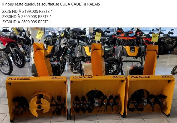 PROMOTION CUB CADET